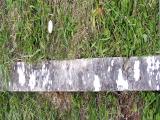 image of grave number 140720